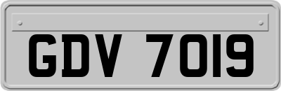 GDV7019