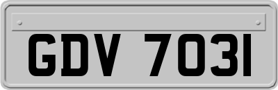 GDV7031