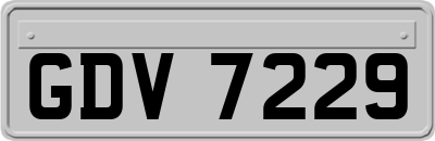 GDV7229