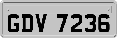 GDV7236
