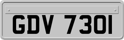 GDV7301