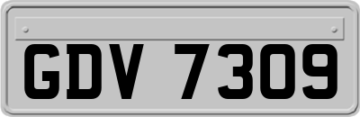 GDV7309