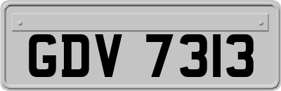 GDV7313