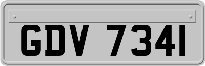 GDV7341