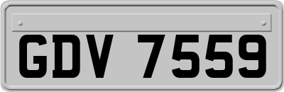 GDV7559