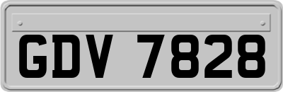 GDV7828