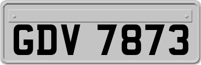 GDV7873