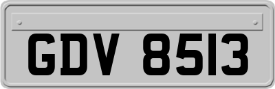 GDV8513