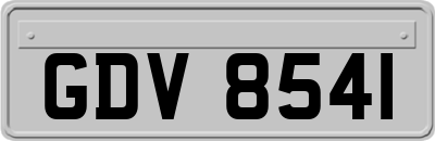 GDV8541