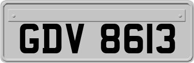 GDV8613