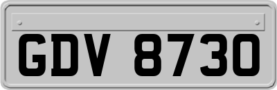 GDV8730