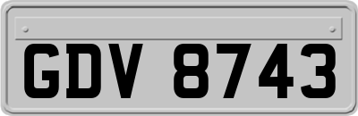 GDV8743