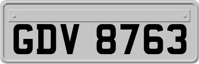 GDV8763
