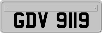 GDV9119