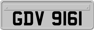GDV9161