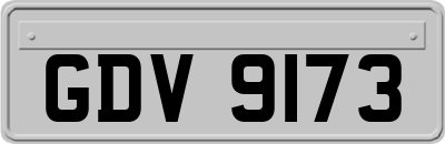 GDV9173