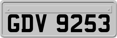 GDV9253