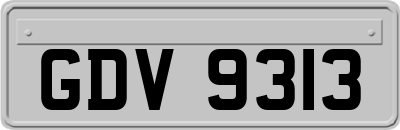 GDV9313