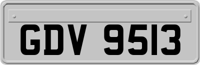 GDV9513