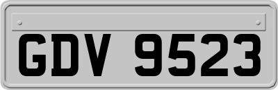 GDV9523