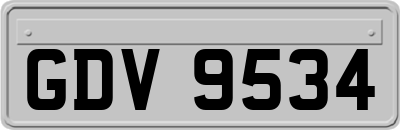 GDV9534