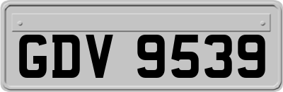 GDV9539