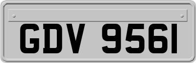 GDV9561