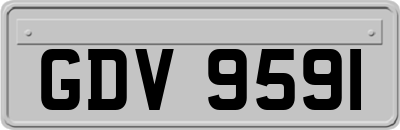 GDV9591