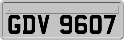 GDV9607