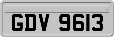 GDV9613