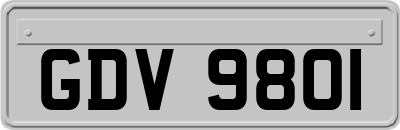 GDV9801