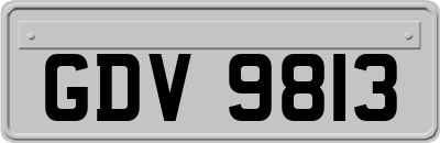 GDV9813