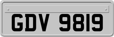 GDV9819