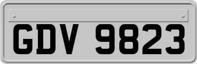 GDV9823