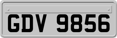 GDV9856