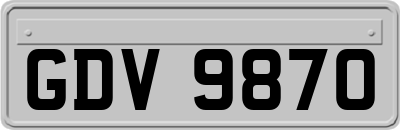 GDV9870