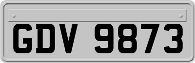 GDV9873