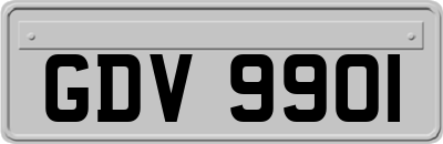 GDV9901