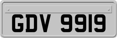 GDV9919