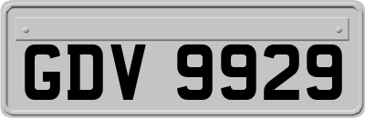 GDV9929