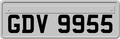 GDV9955