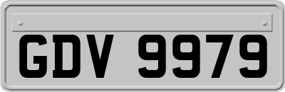 GDV9979
