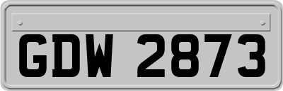 GDW2873