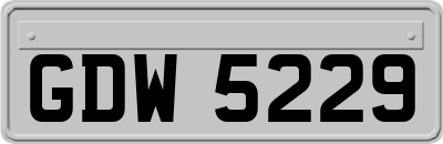 GDW5229