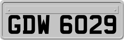 GDW6029