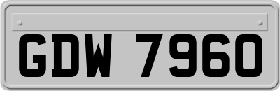 GDW7960