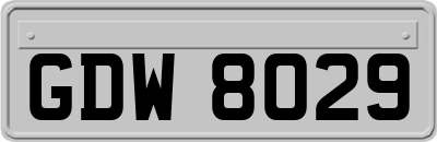 GDW8029
