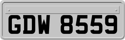 GDW8559