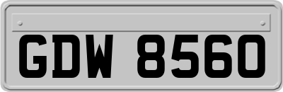 GDW8560