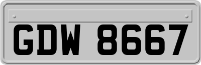 GDW8667